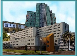 Jornada de Actualización en Anatomía Patológica: Patología Ginecológica