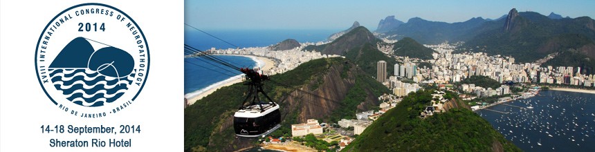 XVIII International Congress of Neuropathology, ICN 2014