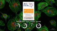First Summer School AIDPATH. Stereology and Image Processing in Digital Pathology