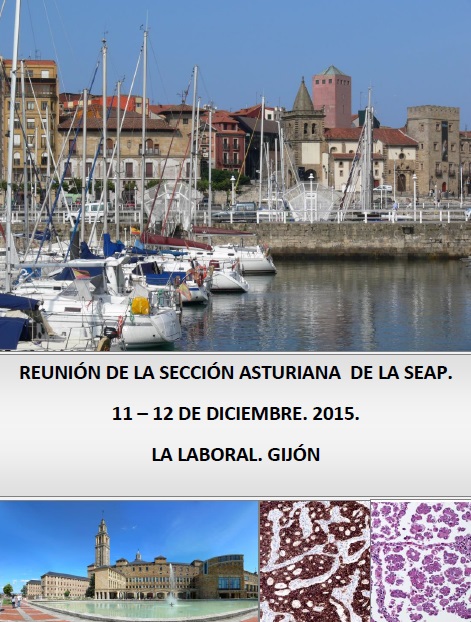 Reunión de la sección asturiana de la SEAP