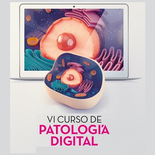 VI Curso de Patología Digital