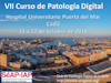 VII Curso de Patología Digital