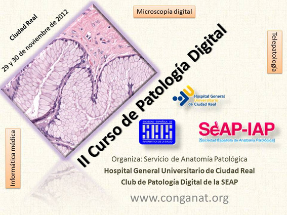 II Curso de Patología Digital