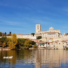Curso de Inmunohistoquímica para TEAPyC