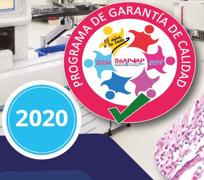 XLIII Reunión Anual SEAP 2020