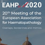 20th Meeting of the European Association for Haematopathology
