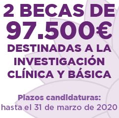 Convocatoria 5ª Beca Carmen Delgado / Miguel Pérez-Mateo “Investigación contra el cáncer de páncreas” (AESPANC-ACANPAN).