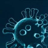 Webinar SESPM. Influencia de la pandemia por SARS-COV-2 en el manejo de la patología mamaria.