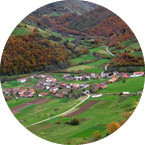 Reunión de la Territorial Asturiana de la SEAP. Octubre 2012