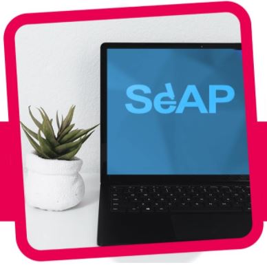 XLIV Reunión Anual SEAP 2021