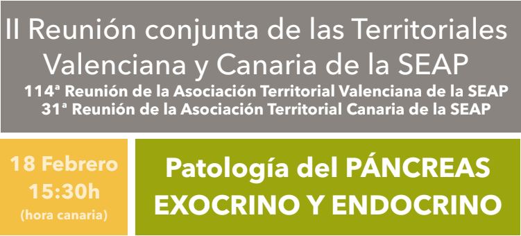 II Reunión conjunta de las Territoriales Valenciana y Canaria de la SEAP