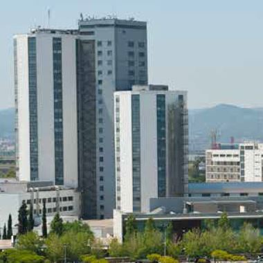 LXXXV Reunión del Club de Linfomas de la Sociedad Española de Anatomía Patológica y del Grupo de Linfoma Cutáneo de la Academia Española de Dermatología y Venereología.