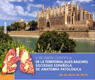 V Reunión Territorial Baleares 26 abril 2013