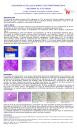 Carcinoma de células acinares con transformación a carcinoma de alto grado
