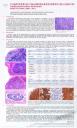 Carcinoma neuroendocrino de cérvix: Serie de casos