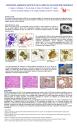 Carcinoma adenoide quístico de pulmón de localización periférica.