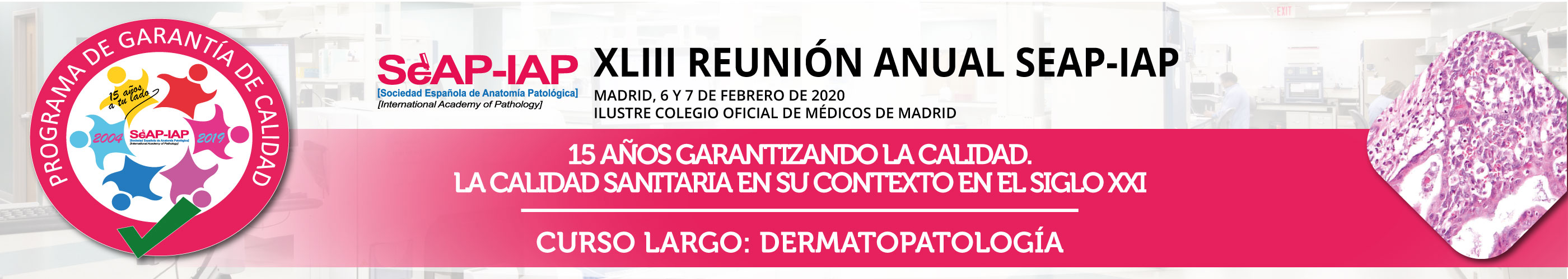 XLIII Reunión Anual SEAP 2020
